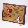 Плакетка резная спортивная. Бизнес. PN3186