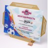 Наградная плакетка. PN3237