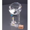Приз с изображением PN3035