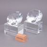 Приз с изображением PN3035