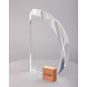 CA710_3d