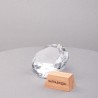 PN3085_3d